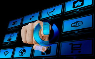 播放花花的寓意，音乐与情感的交织