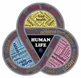 中国文化百科知识题库大全,探索华夏文明的瑰宝 中国文化百科知识题库大全,探索华夏文明的瑰宝