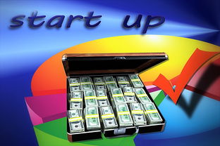 熊猫的冷门知识，揭秘这些可爱生物的神秘面纱