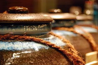 探索中国文化的宝藏,中国文化百科知识题库app 探索中国文化的宝藏,中国文化百科知识题库app