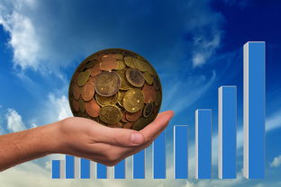 探索世界的钥匙,三年级儿童百科问答范文指南 探索世界的钥匙,三年级儿童百科问答范文指南