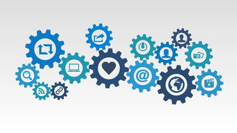 熊猫的冷门知识，揭秘这些可爱生物的神秘面纱