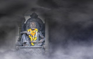 央视主页,中国媒体的心脏,全球视野的窗口 央视主页,中国媒体的心脏,全球视野的窗口