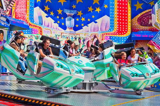 熊猫知识科普,保护国宝,传承文化 熊猫知识科普,保护国宝,传承文化