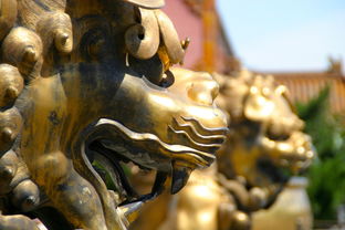 百科知识全书，获取知识的便捷途径