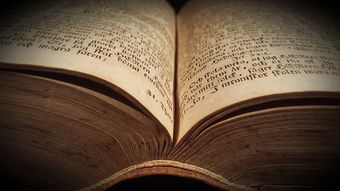 问财网APP，金融投资的智能助手