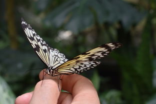 中国近代史常识1000题，从鸦片战争到新中国成立