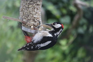 央视主页,中国媒体的心脏,全球视野的窗口 央视主页,中国媒体的心脏,全球视野的窗口